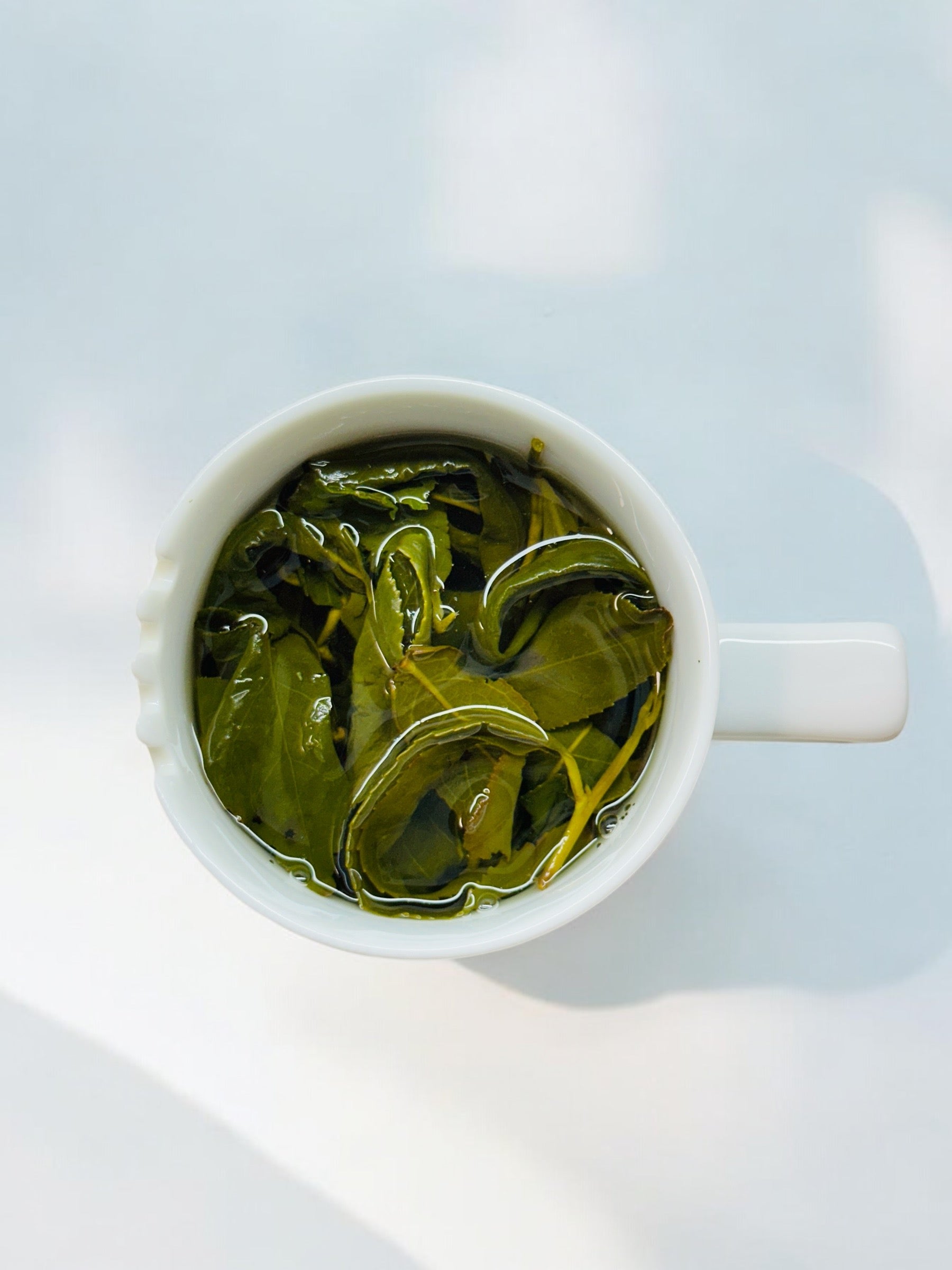 梨山高山烏龍茶