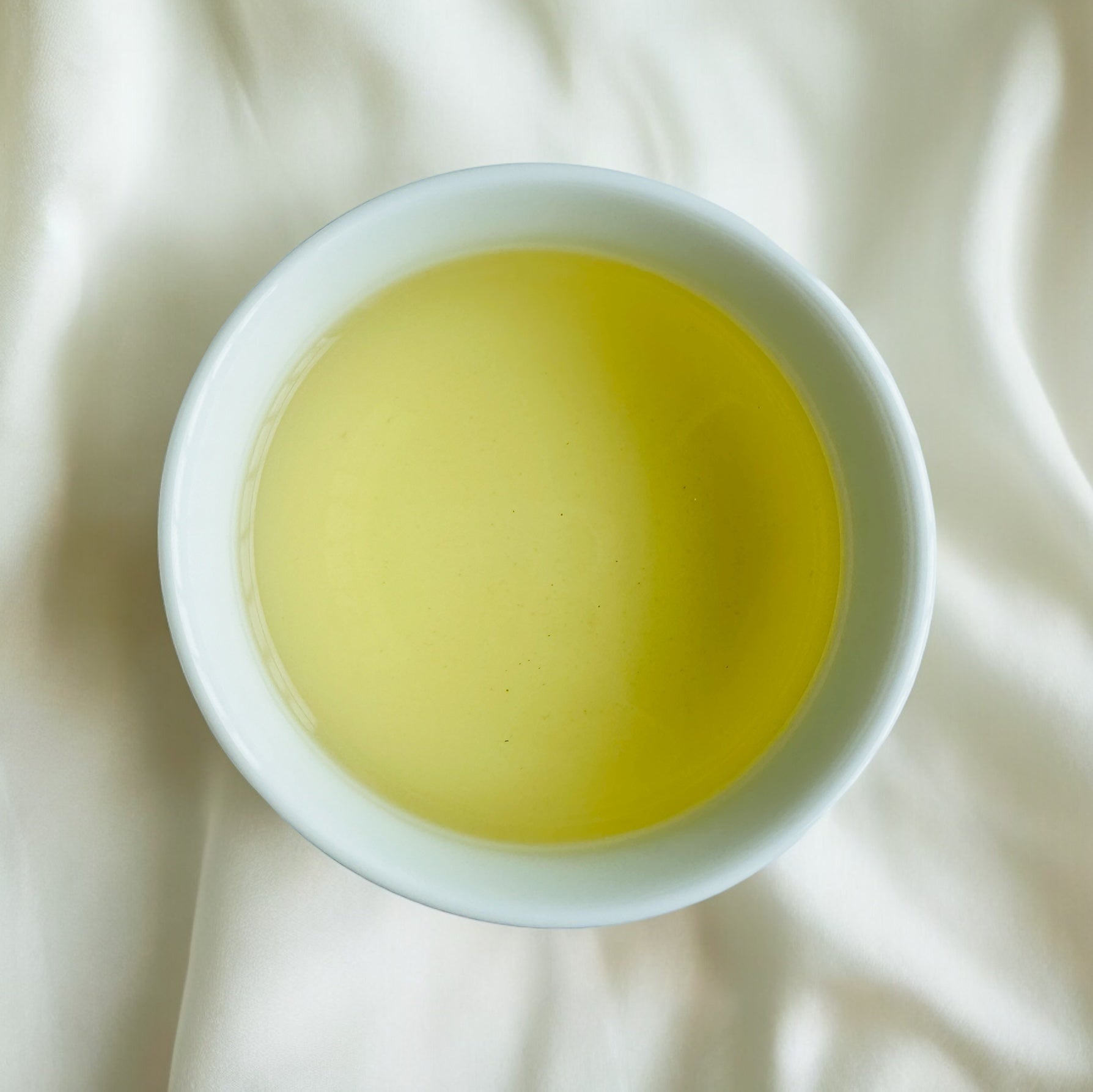 合歓山高山烏龍茶