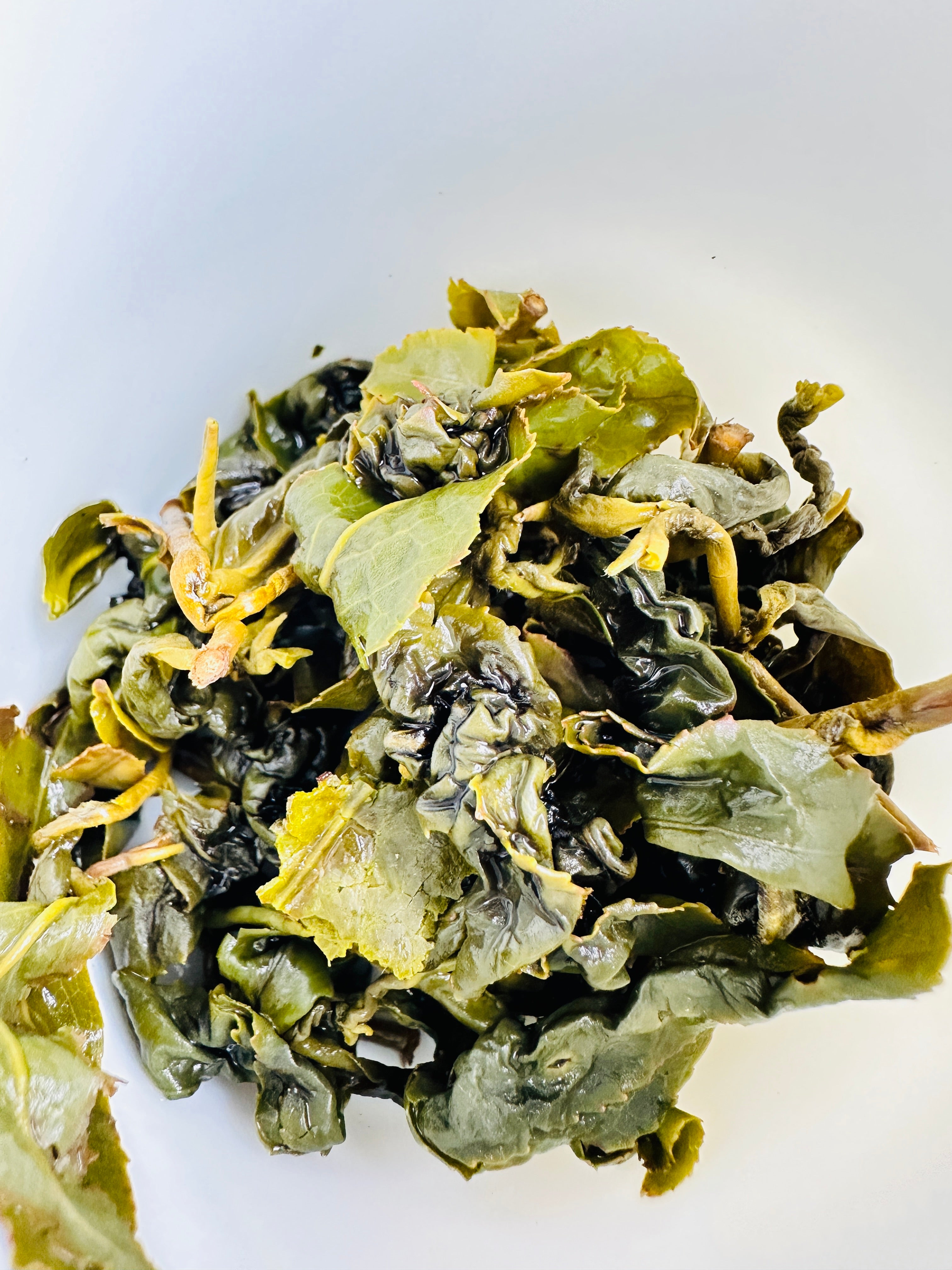 合歓山高山烏龍茶