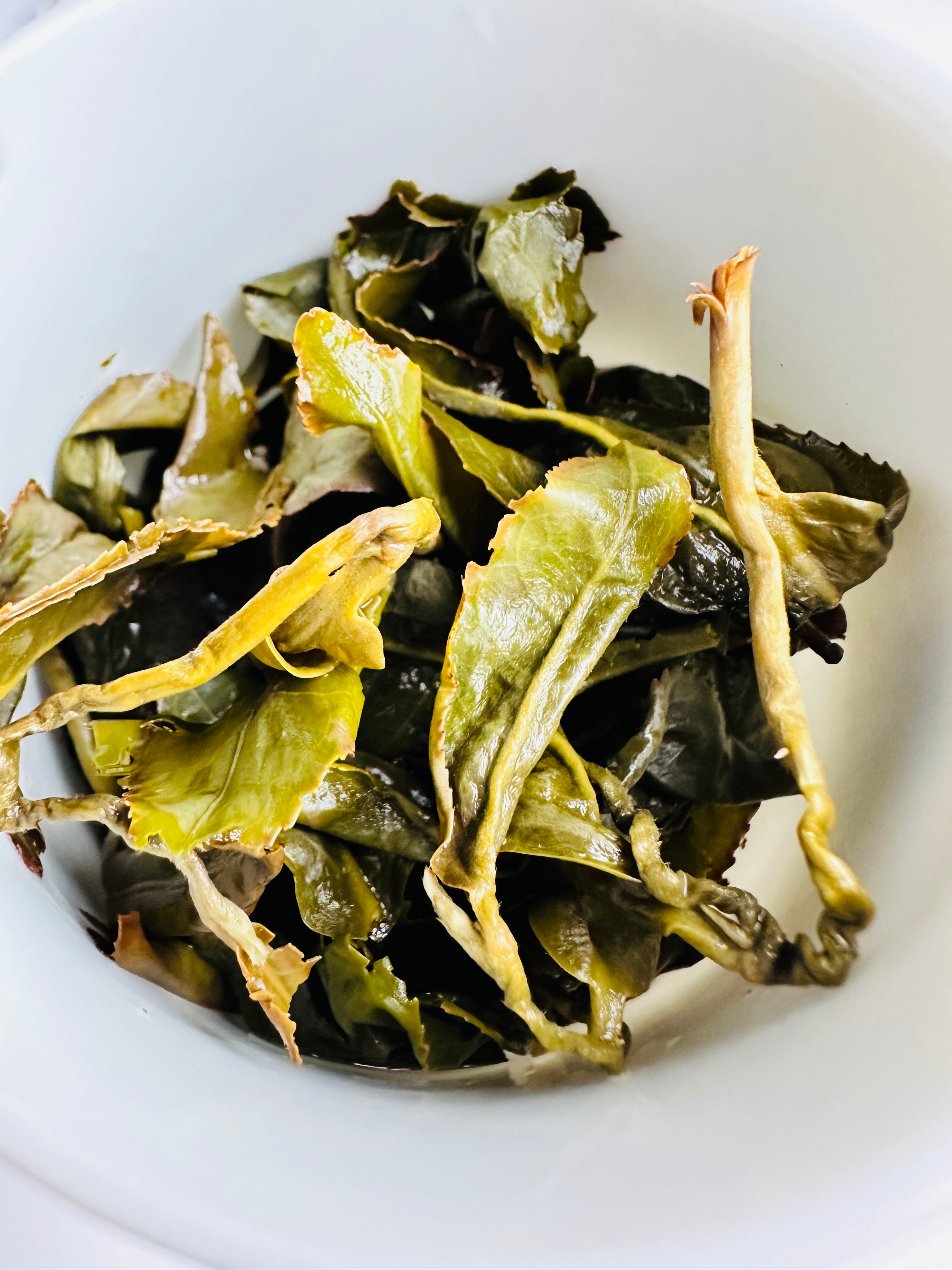 阿里山高山烏龍茶