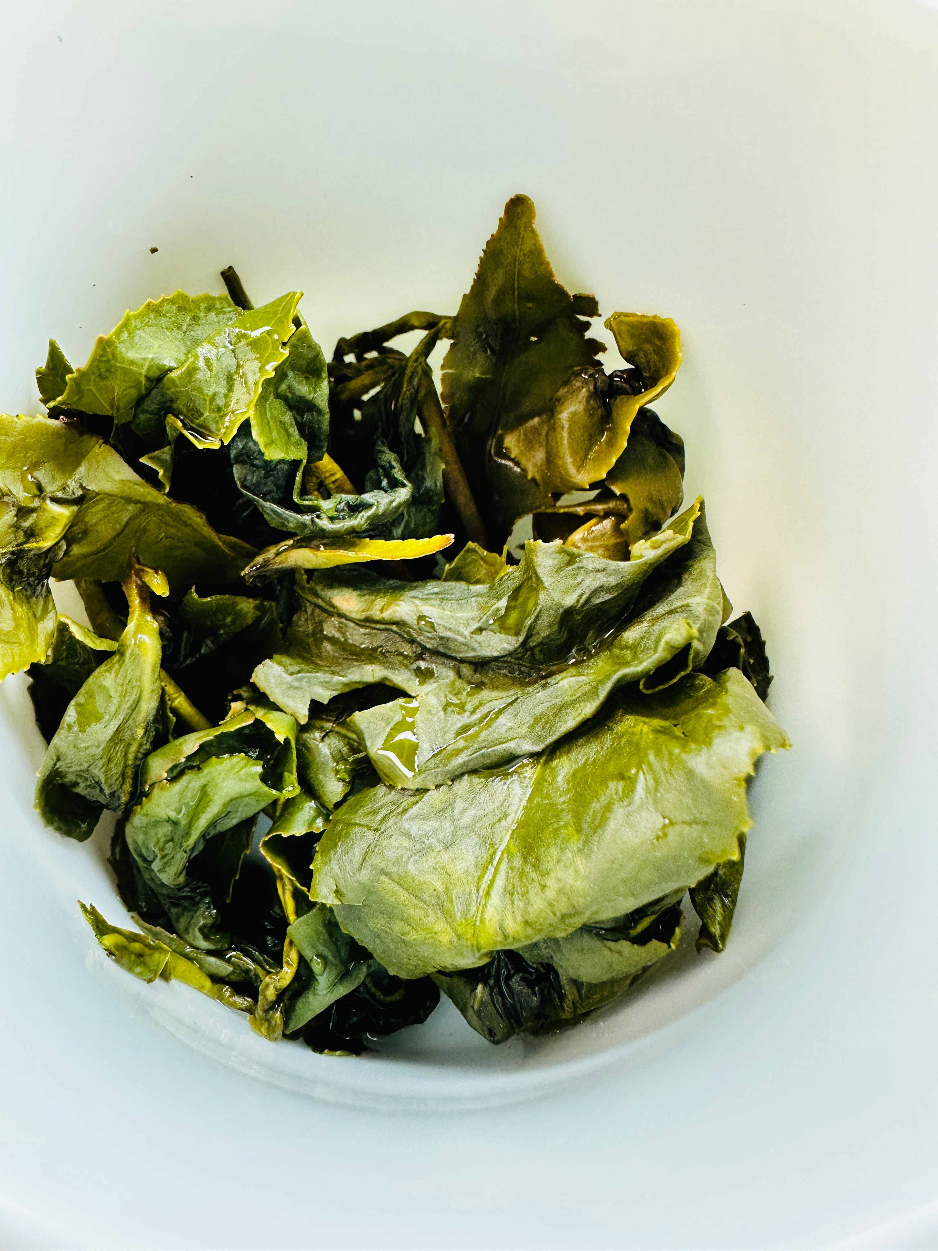 雲嶺之丘高山烏龍茶