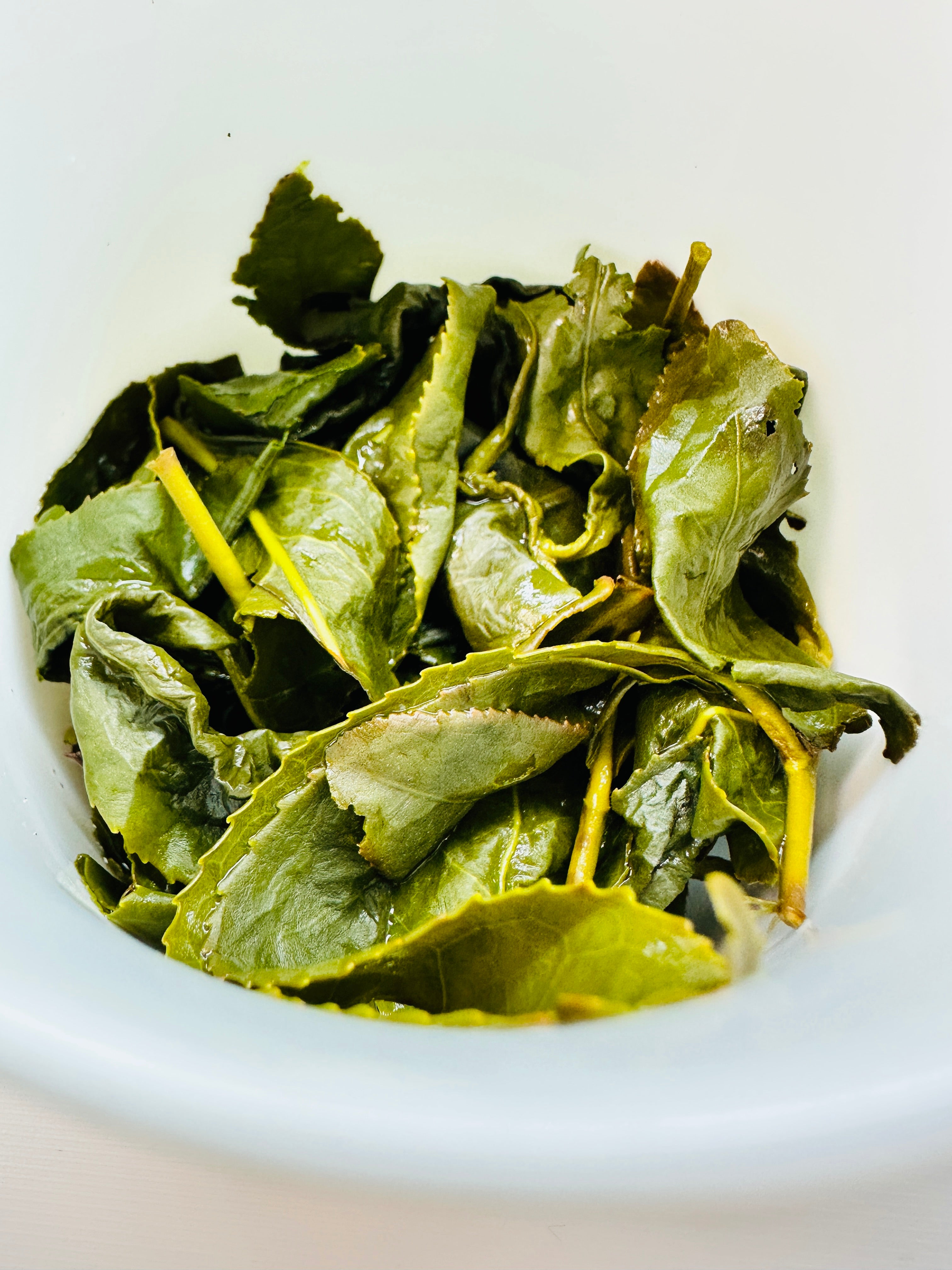 梨山高山烏龍茶