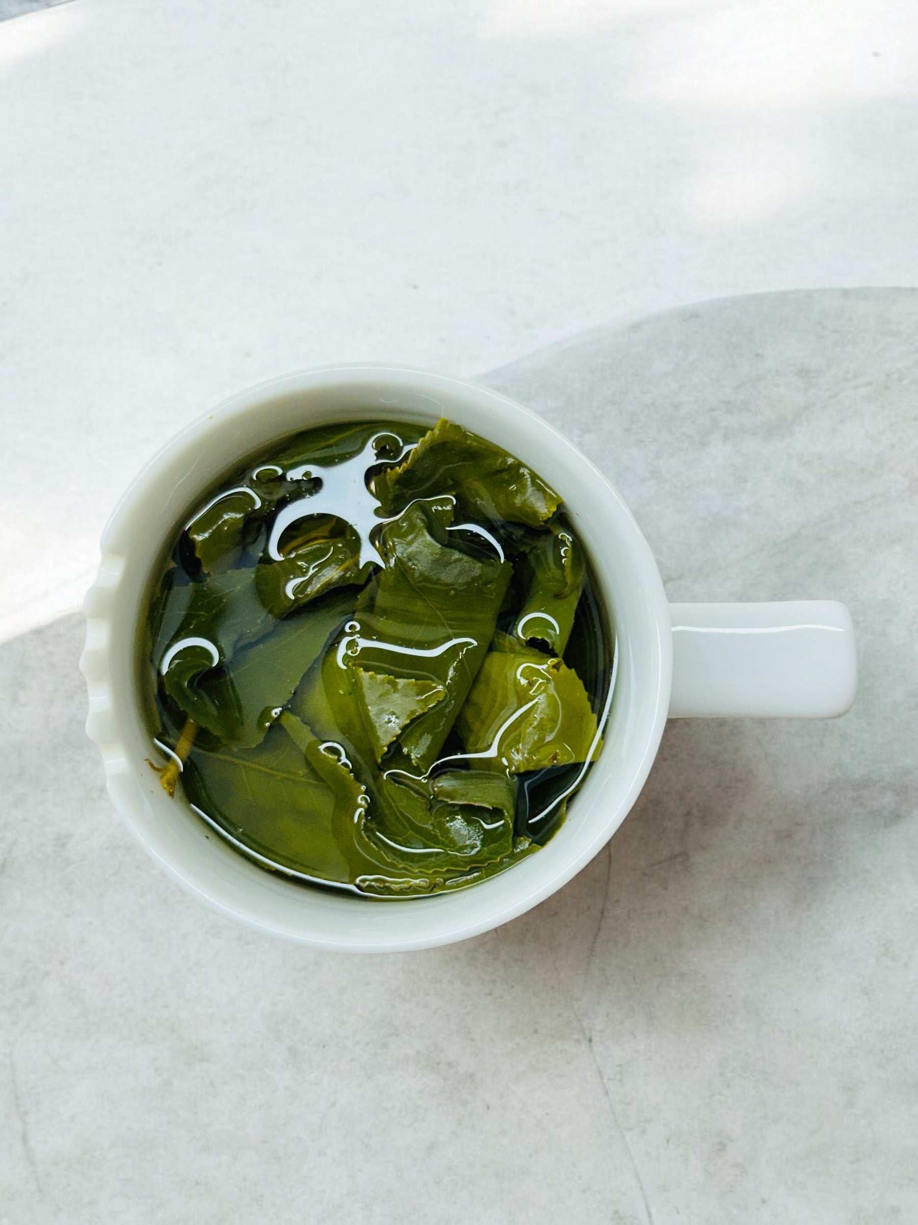 大禹嶺高山烏龍茶