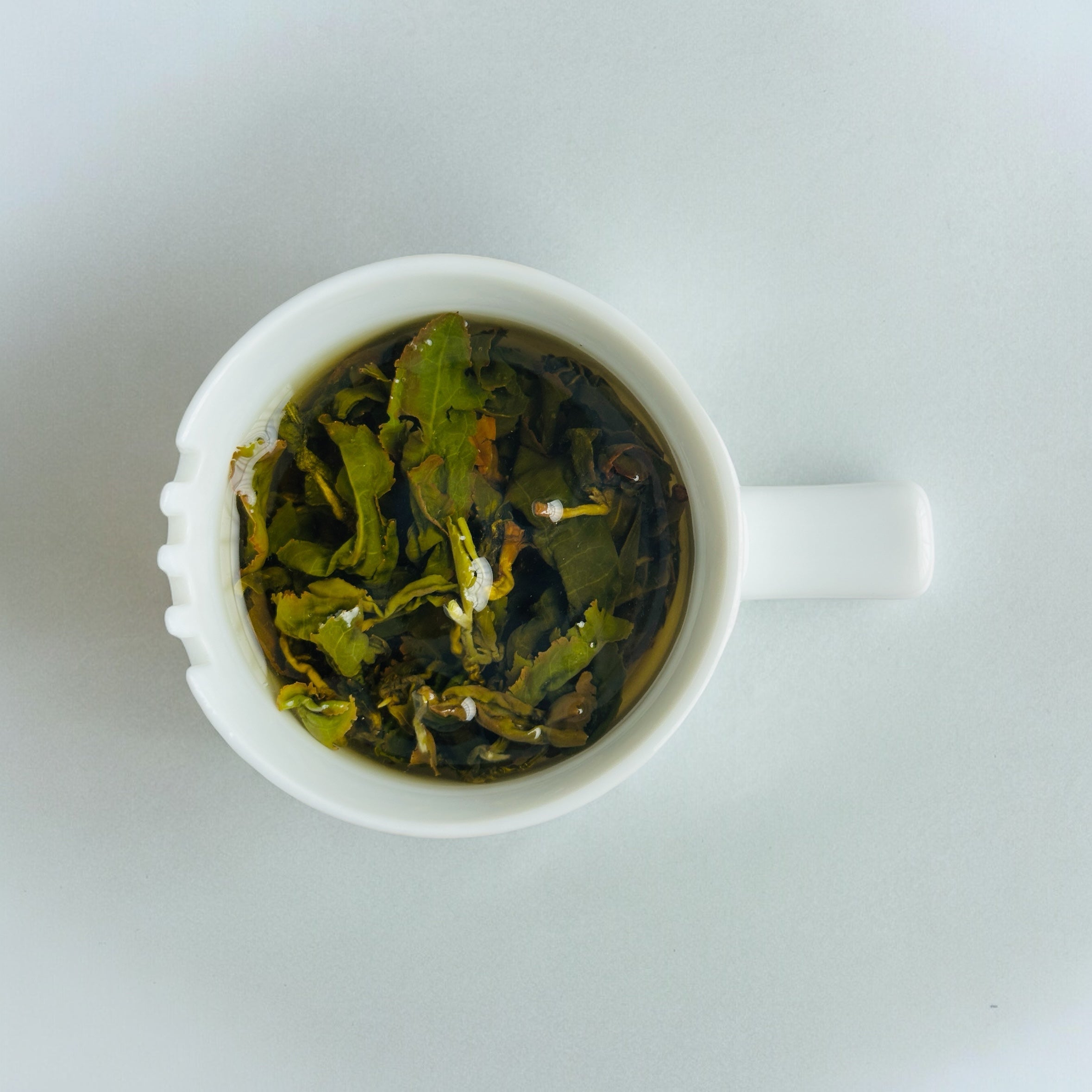 阿里山高山烏龍茶